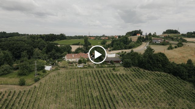 die Träumerei – Video Stephanie & Florian (Michael Schartner)